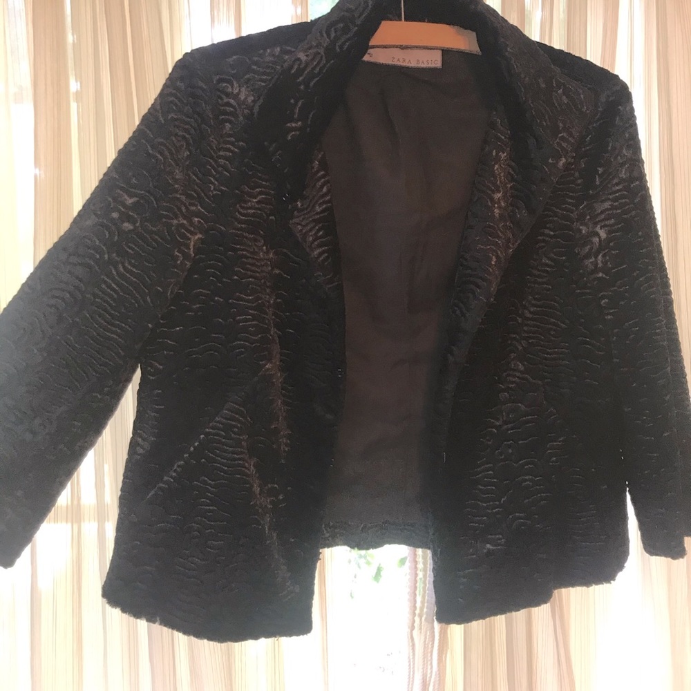 Zara plush velvet jacket